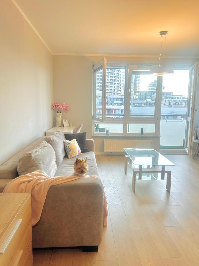 Downtownapartments Carrie 热舒夫 外观 照片