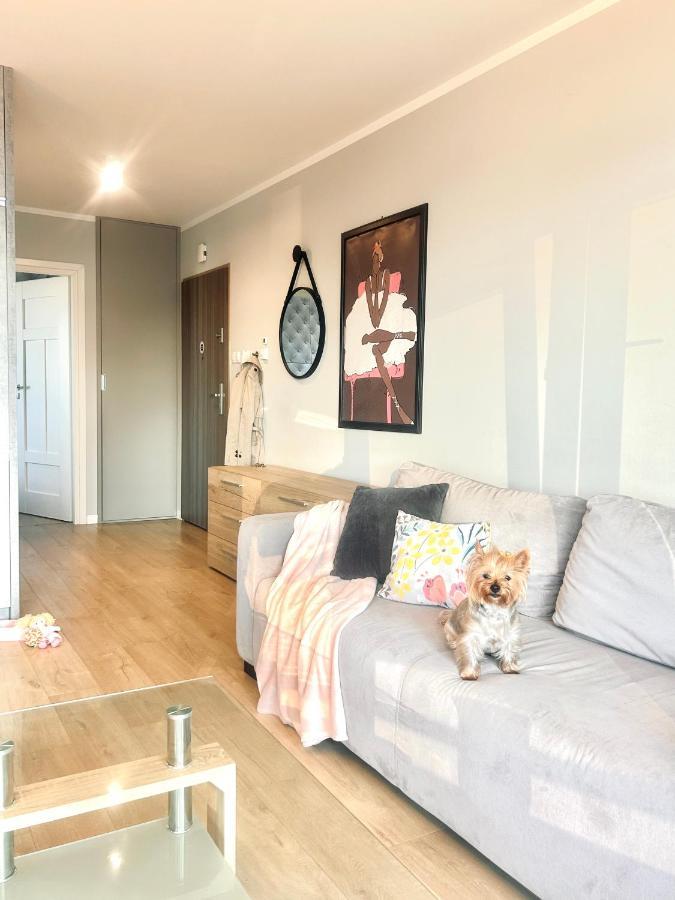 Downtownapartments Carrie 热舒夫 外观 照片